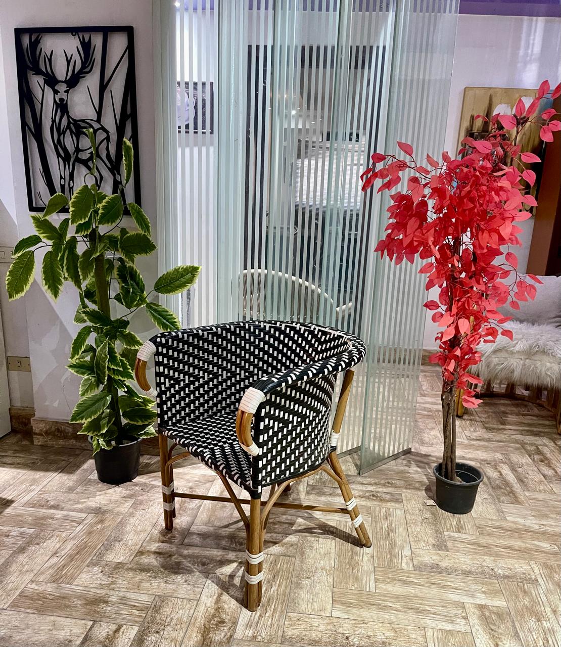 Chairs Code : CH 19 Minimum Quantity 20 Pieces