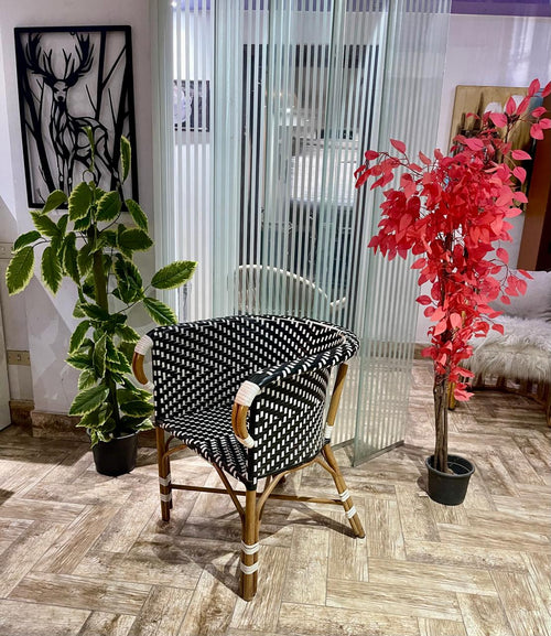 Chairs Code : CH 19  Minimum Quantity 20 Pieces